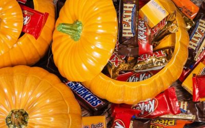 Halloween Safety Tips for Your Pets