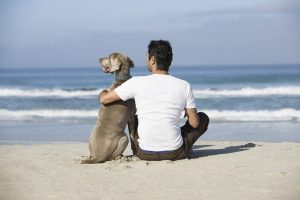 Man sitting on the beach with his gray dog.