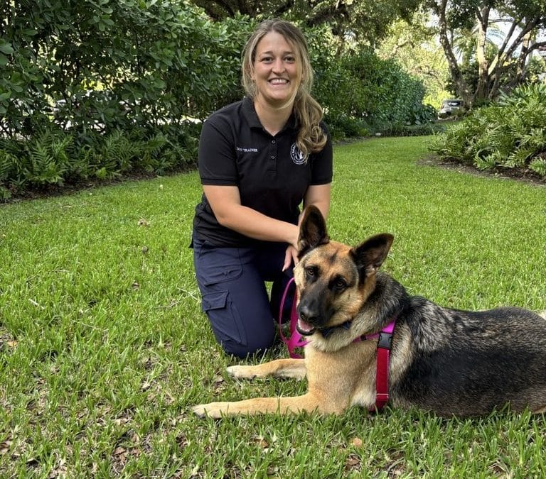 Dog Walking Apps vs Professional Dog Walkers in Miami