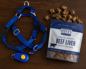 Force-free dog training tools including clicker, treats, and harness