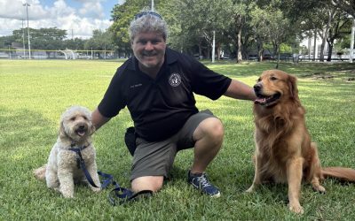 Dog trainer Andrew Scullion training two dogs at a park in South Miami
