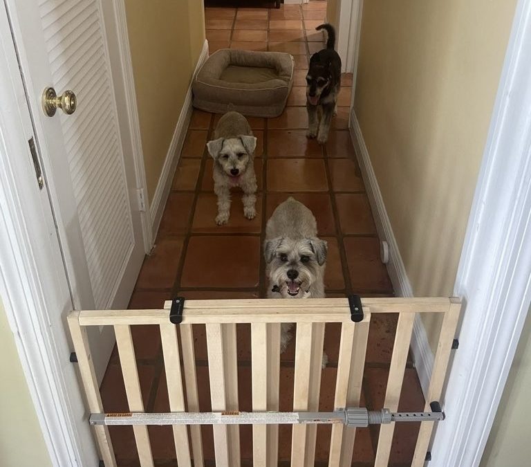 Fear of Strangers in the Home: A Guest Protocol That Works